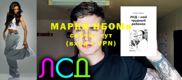 соль ск Медвежьегорск