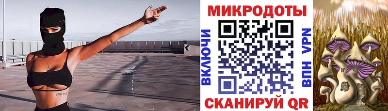 Галлюциногенные грибы мицелий  Купить  Пустошка 